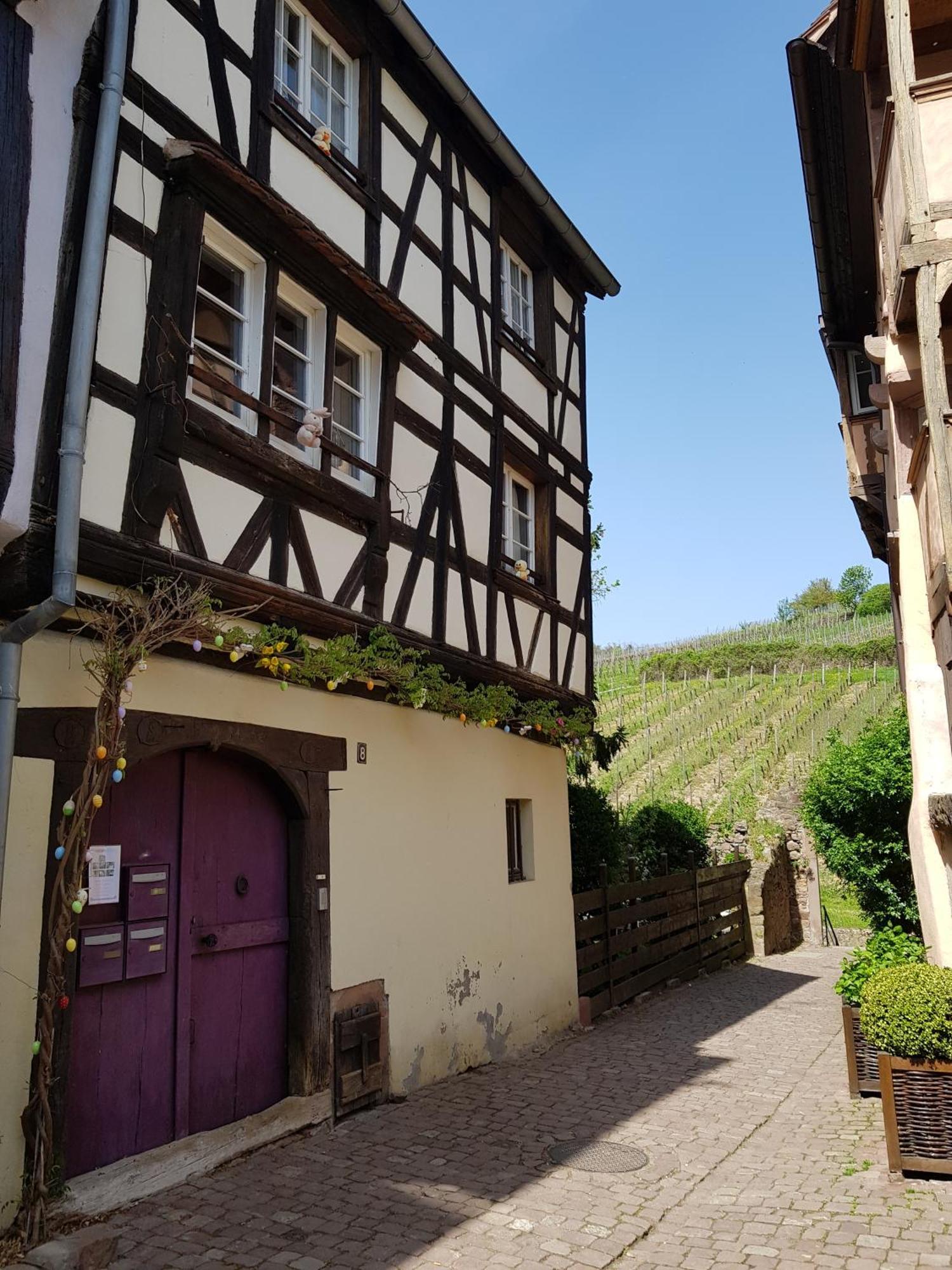 La Maison Vigneronne Riquewihr Exteriér fotografie
