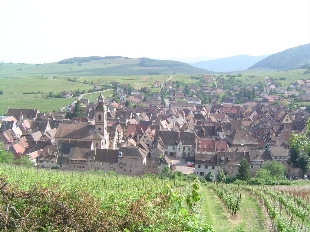 La Maison Vigneronne Riquewihr Pokoj fotografie